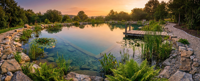Poolroboter im Naturpool: Warum normale Poolroboter nicht geeignet sind