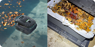 Bester Poolroboter für Laub: So wählen Sie das richtige Modell