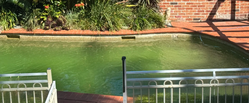 Pool nach dem Winter reinigen: So wird grünes Poolwasser wieder klar (Schritt-für-Schritt-Anleitung)