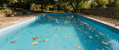 Pool-Oberfläche reinigen: So entfernen Sie Laub, Pollen und Ölfilm zuverlässig