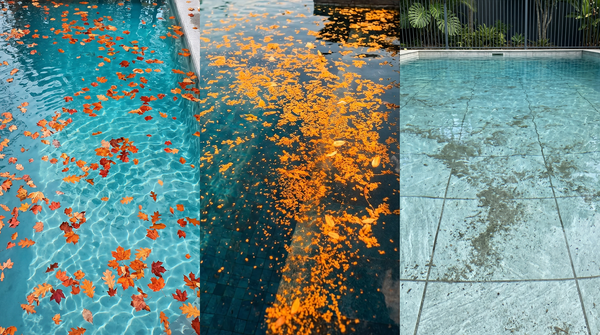 Pollen und fallende Blätter