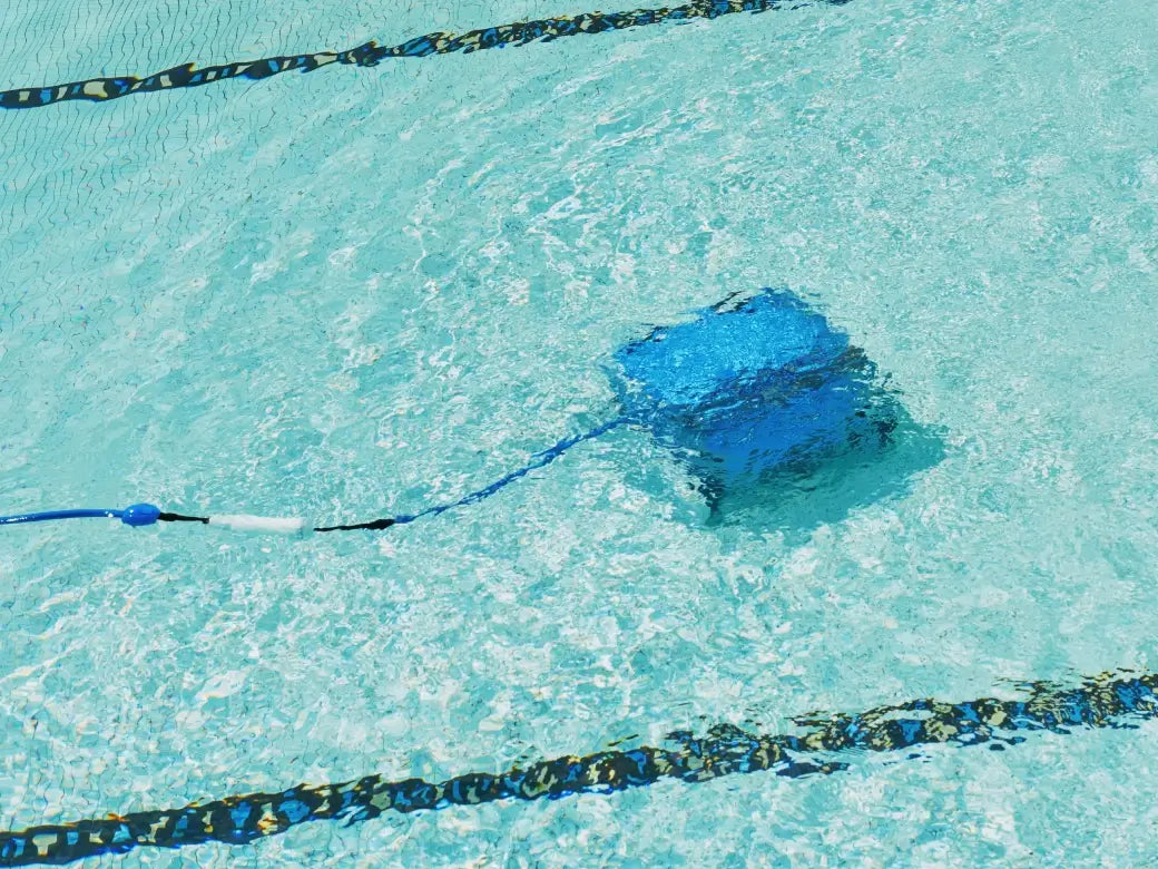 Selbst die besten Roboter haben das, was schwimmt, übersehen.