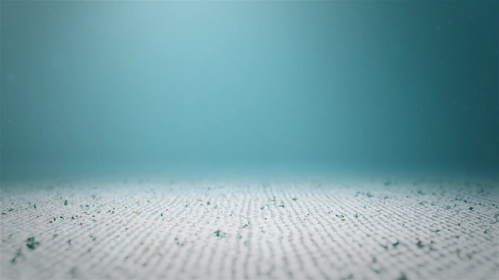 Wenn eine gründlichere Reinigung erforderlich ist.